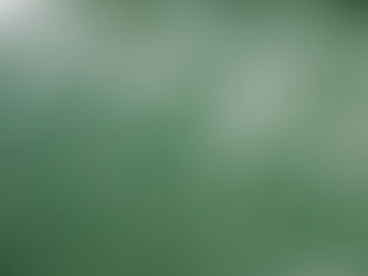 La Spiruline, alliée vitalité !