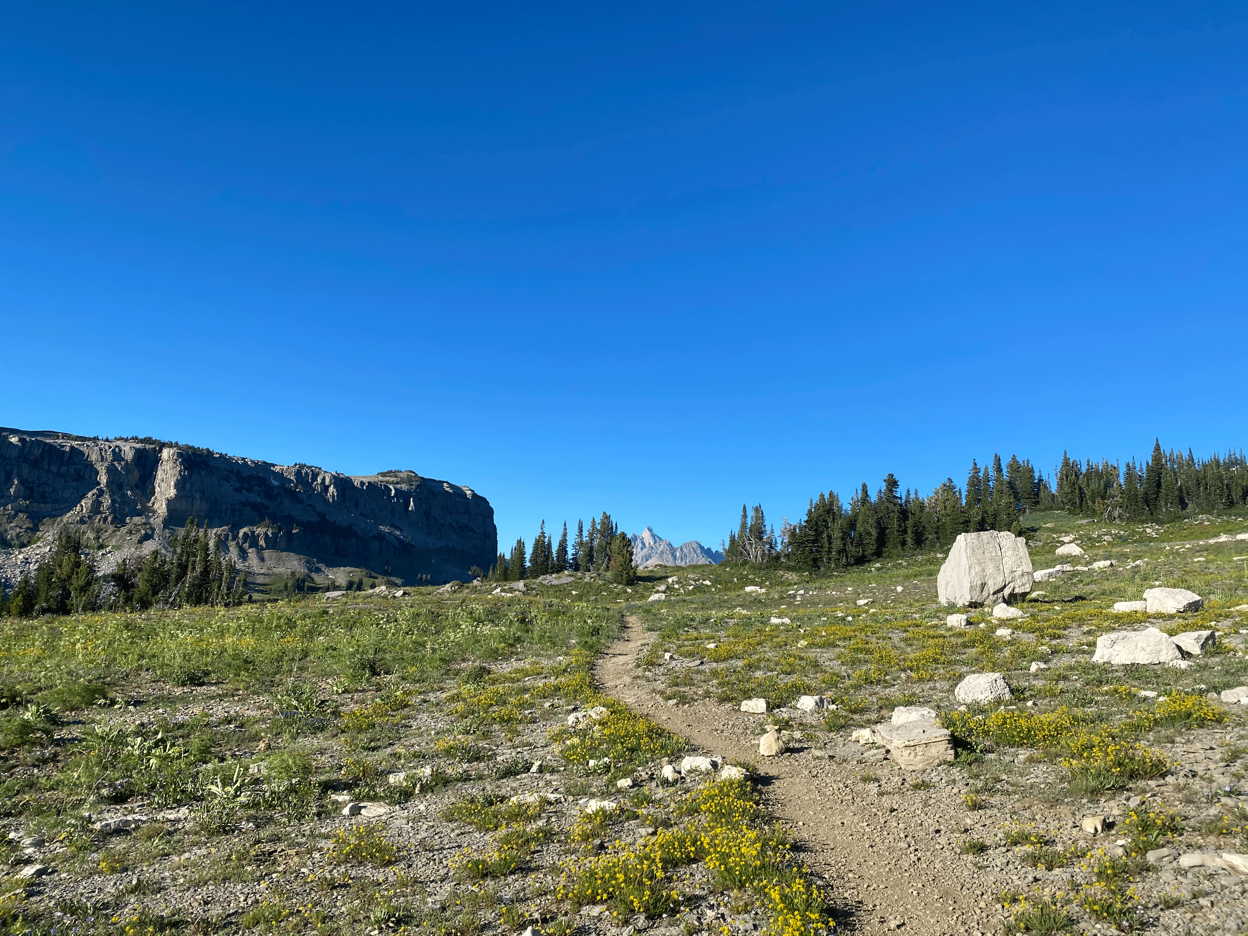 A rocky trail leading up to Grand Teton Mountain in Wyoming