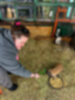Chloe with Parsley