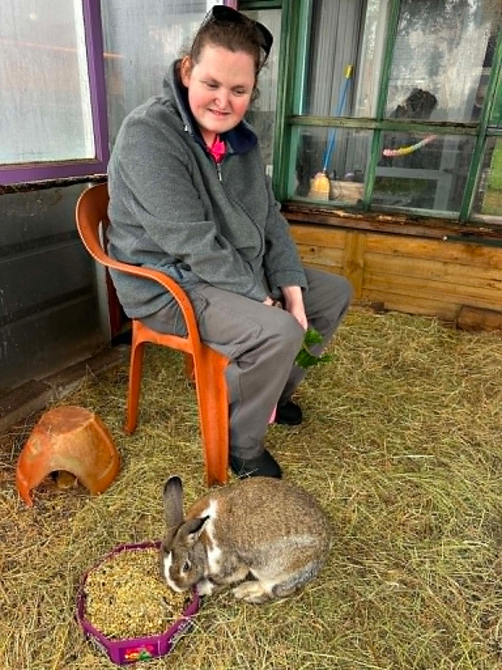 Visiting the Rabbits and Guineas