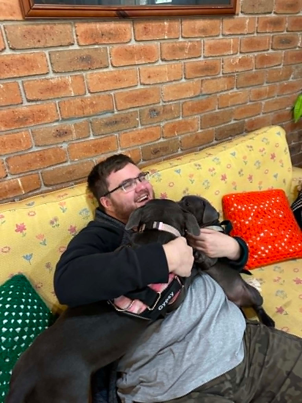 Steven with Gypsy and Jasper