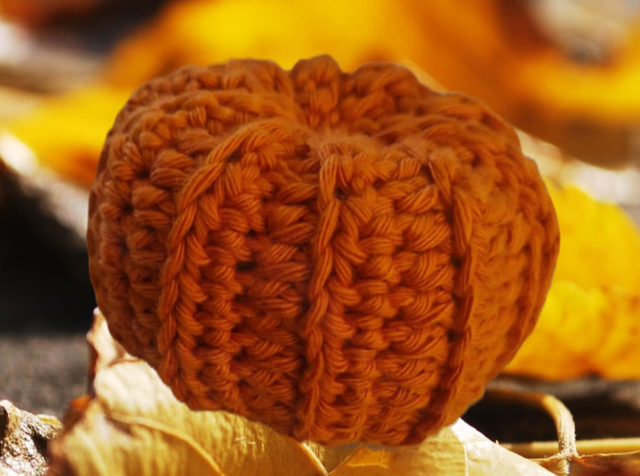 Crochet Pumpkin Workshop (Oxton) Additional Date