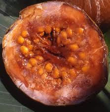 LA PULPA
