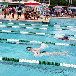 woodland_swim_2.jpeg