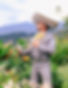 Mariachis en Medellín