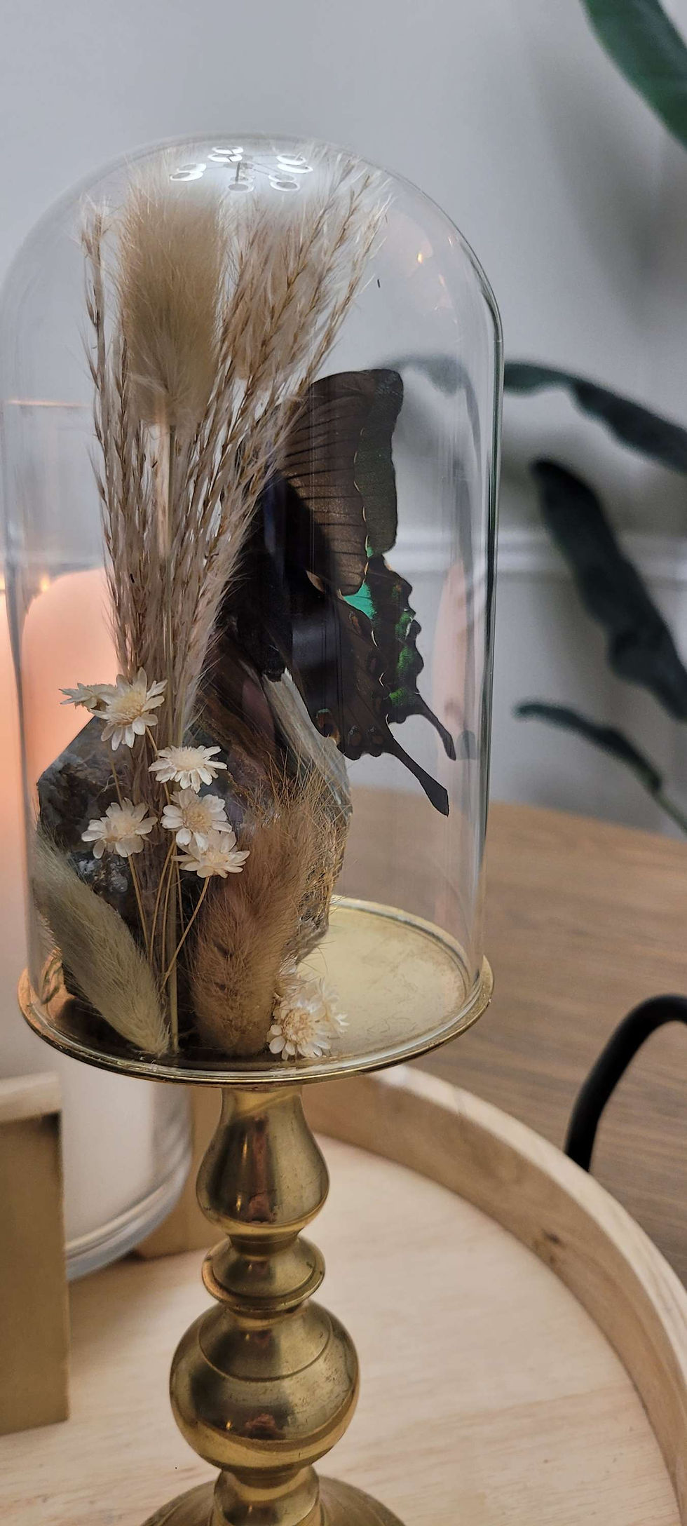 Thumbnail: Peacock Swallow Tail