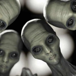 REPTILIANO Y  LOS CAZADORES(REAL)