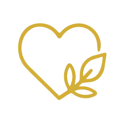Support throughout treatment