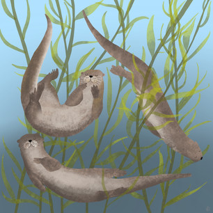 Otter Soup
