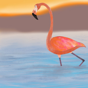 Flamingo