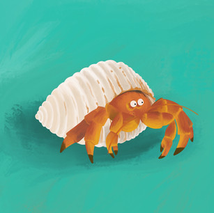 Hermit