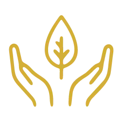 Initial consultation