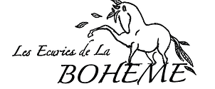 logo la Boheme.png