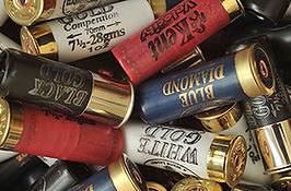 Cartridges_edited.jpg