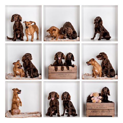 Islay, Jura & Bruich.jpg