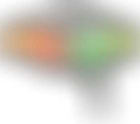 Data Visualization