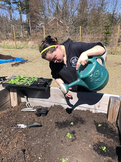 Garden9.jpeg