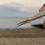 Thumbnail: Straight Isolation Tweezer
