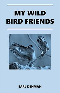 MY WILD BIRD FRIENDS Cove