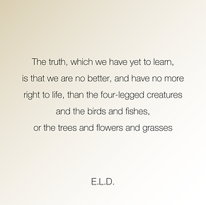The truth, which we have yet to learn,is that we are no better, and have no more right to