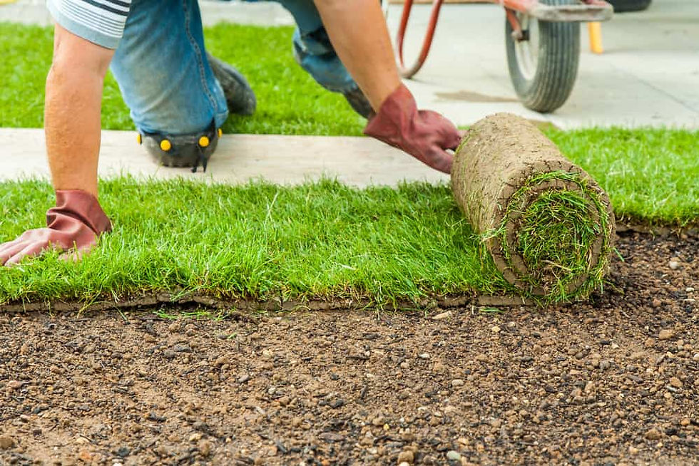 Sod Installation: The Instant Green Solution