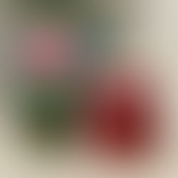 Quick Brew Review: Millions of Cherries - Cherry and Lemon Thyme Sour from Hackney Brewery // 5% ABV