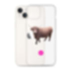 Thumbnail: iPhone Case