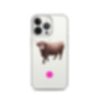 Thumbnail: iPhone Case