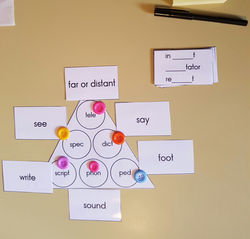 Morphology  root triangles - script, pho