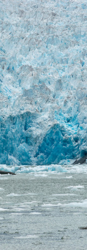 Le Conte Glacier was incredible.