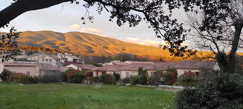 2026-03-29 at 08.12.10.jpeg