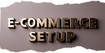 E-Commerce setup - Digital Pickle