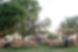 1Z8A0906A_websize.jpg