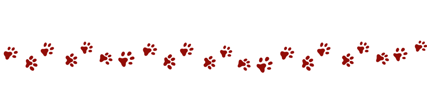 enrichment daycare chicago
