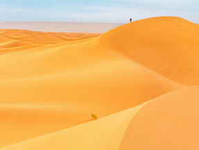 The Couriers of the Sahara