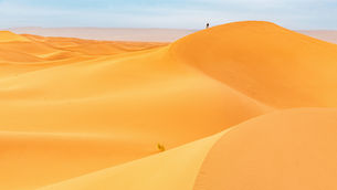 The Couriers of the Sahara