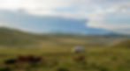 All around Mongolia, noamds are opening their homes more and more to the traveller who is seeking an authentic experience (Munkhbayar Dambajav)