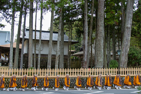 The Backpacker who Became a Monk