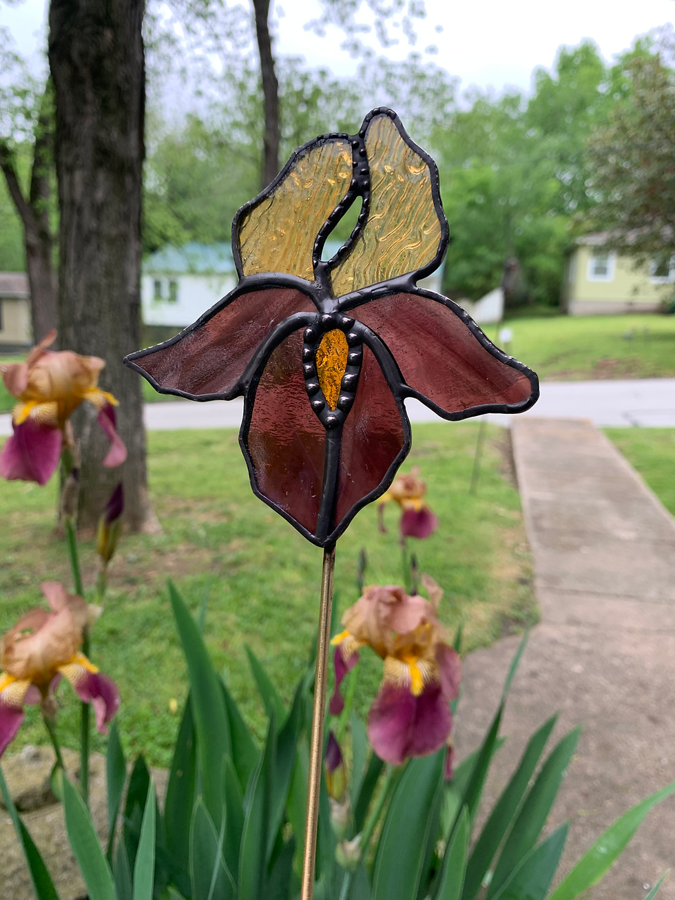 Thumbnail: Iris Plant Stake