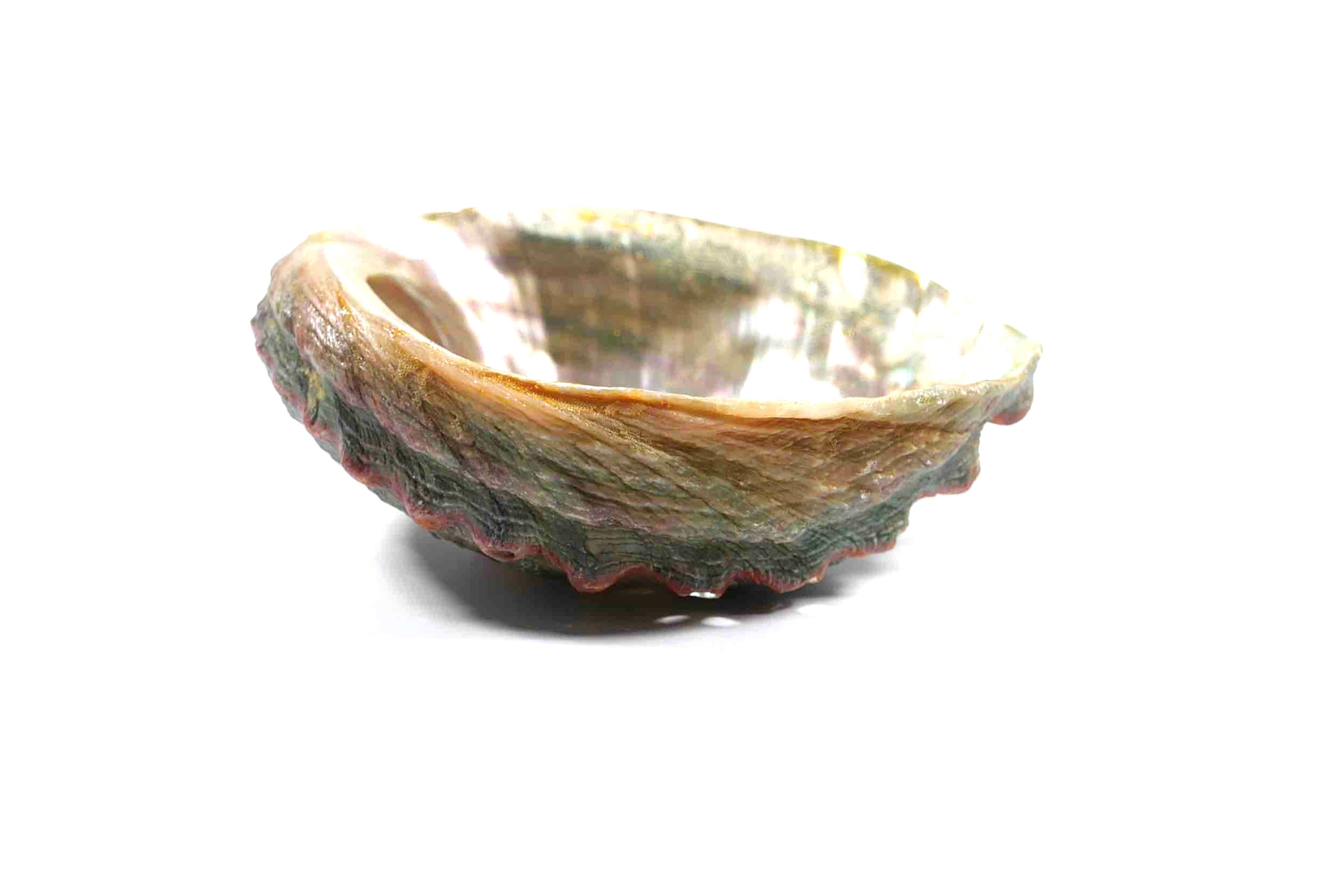 Ablonen Schale zum Ausräuchern, Ansicht 1