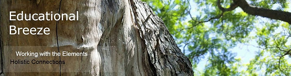 Banner Educational Breeze_Working with the Elements.jpg