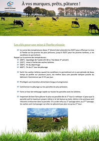 MISE AU PATURAGE (2)-page-001.jpg