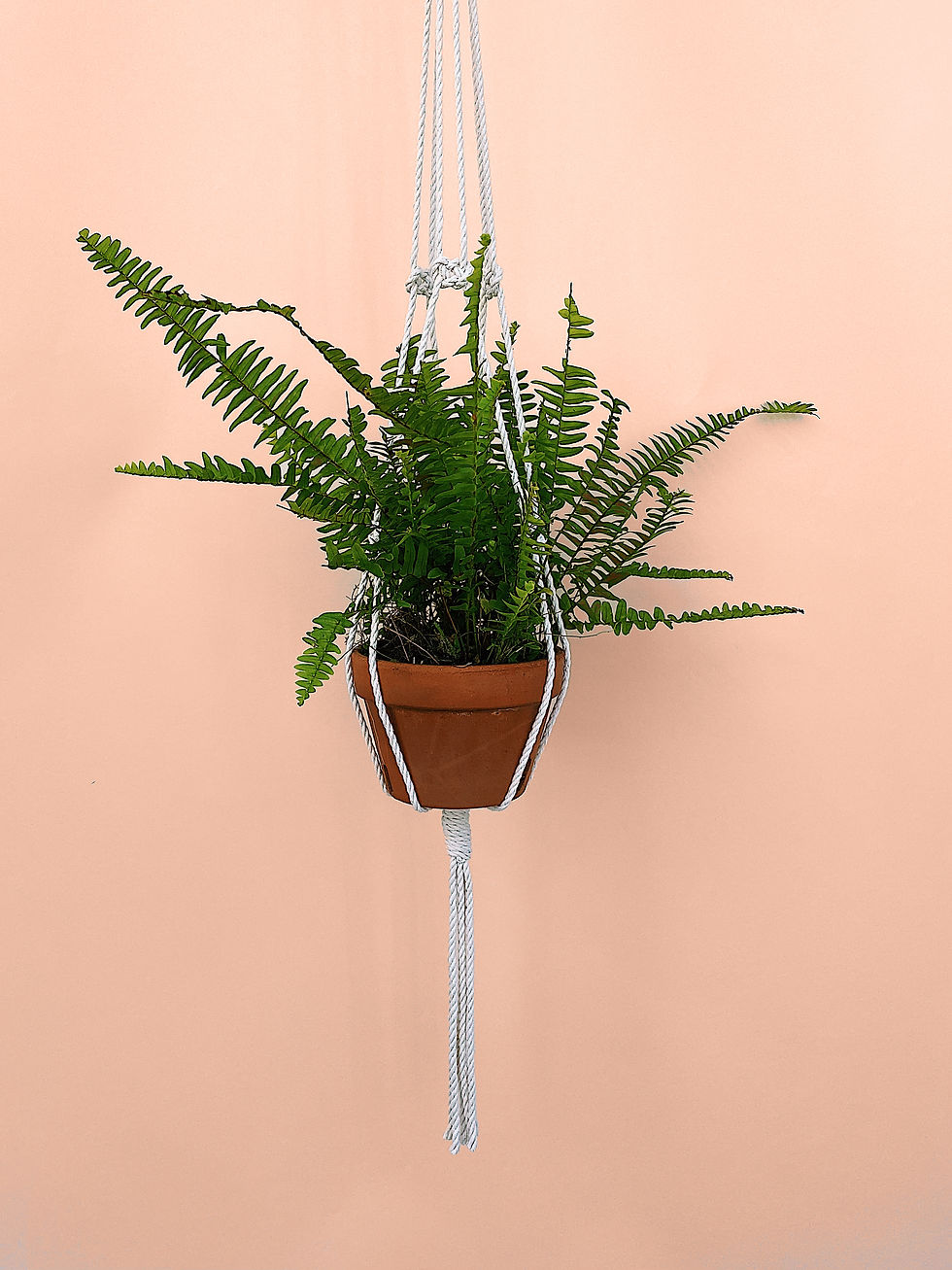 Thumbnail: Slim + Trim Plant Hanger