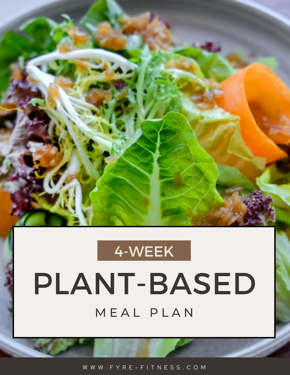 plant based meal plan