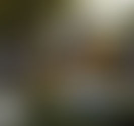 Top 5 – Dark House Exteriors