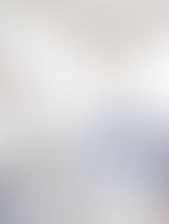 Get the Look: Elegant Sunroom