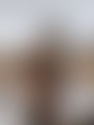 Wishing you a Merry Christmas!