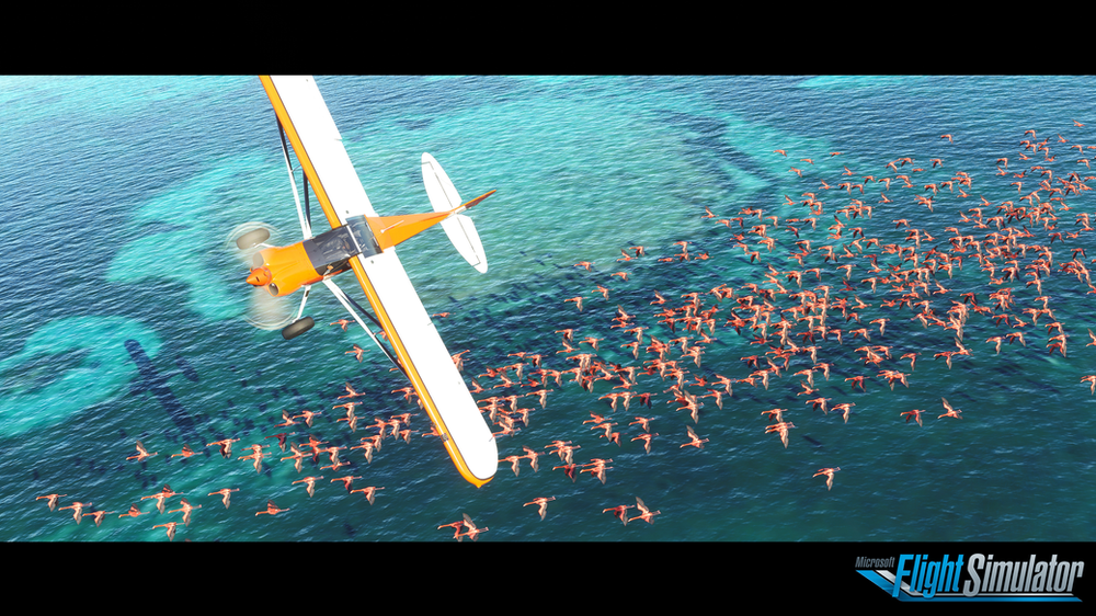 Will Microsoft Flight Simulator 2020 be compatible with ...