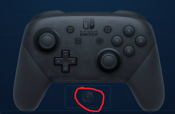 An example of the gyroscope symbol on the Pro Controller menu.