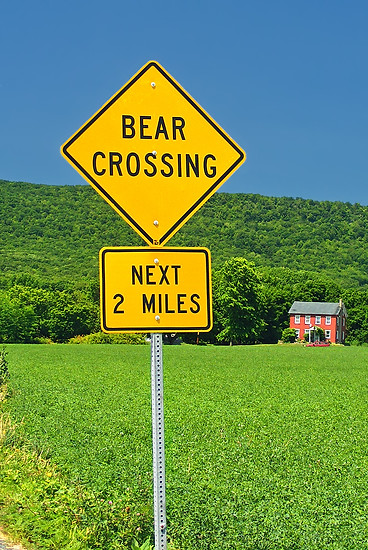 grass-road-lawn-meadow-highway-driving-1